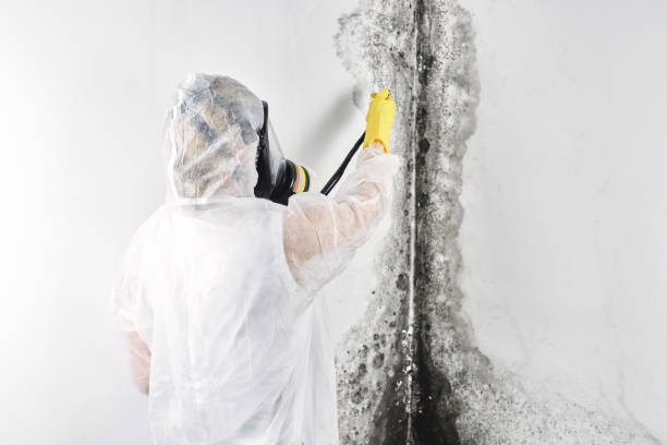 Professional Water damage restoration in Goldendale, WA