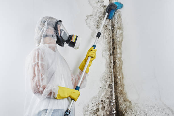 Water damage restoration process in Goldendale, WA